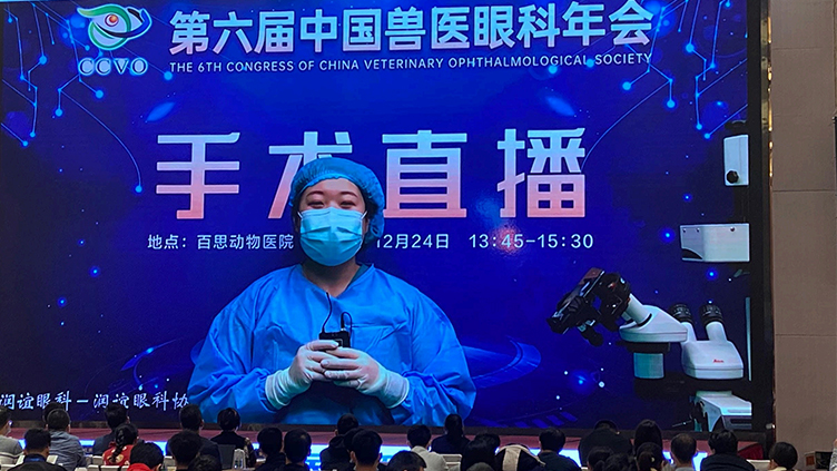 AI-Driven Radiology
